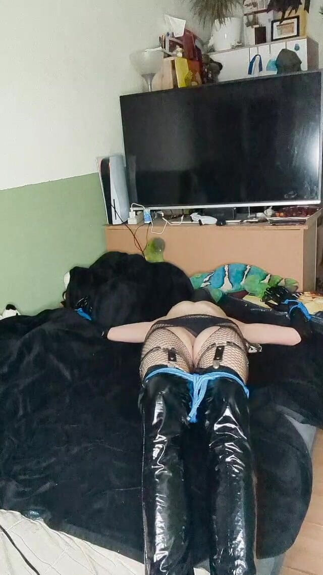 AJ_the_catgirl: Spreed vibed ve kapşonlu
