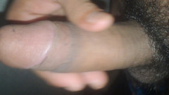 Kanvraj studio: Desi Cock