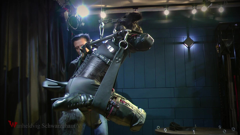 Wanheldvig: Furry Stress Pose: Full Dog Suit, Leather Straps &amp; Predicament Hang