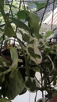 Ev hizmetçisi baştan çıkarıyor gerçek görüntüler