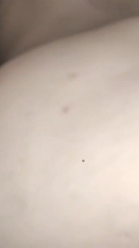 Ass Fucking, Blowing Big Cock