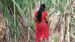 My Step Mom in Sugarcane Farming