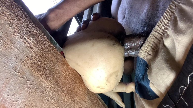 Bangcum8: Tiga gaya ngentot pantat bahenol pelacur jalang ini sampai dalam...