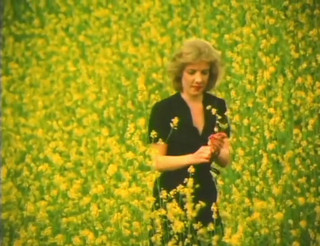 Bisco Birchwood Productions: Cameriera francese: classico statunitense!