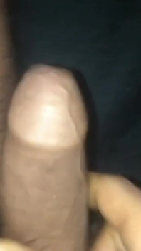 Rosa Vermelha