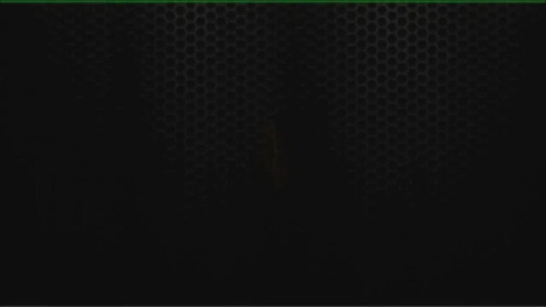 Чарли Чэйз: Charlee Chase накачивает грудь