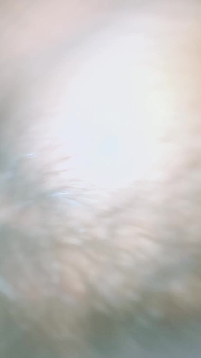 Monjuli: Mi esposa noche