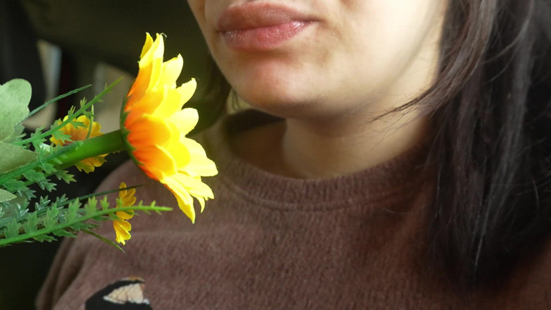 AmayaMori: Niesen, fit im auto, meine Plastikblumenallergiereaktion