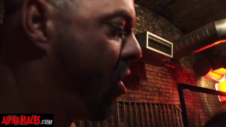 AlphaMales: Alfamales - güçlü adam