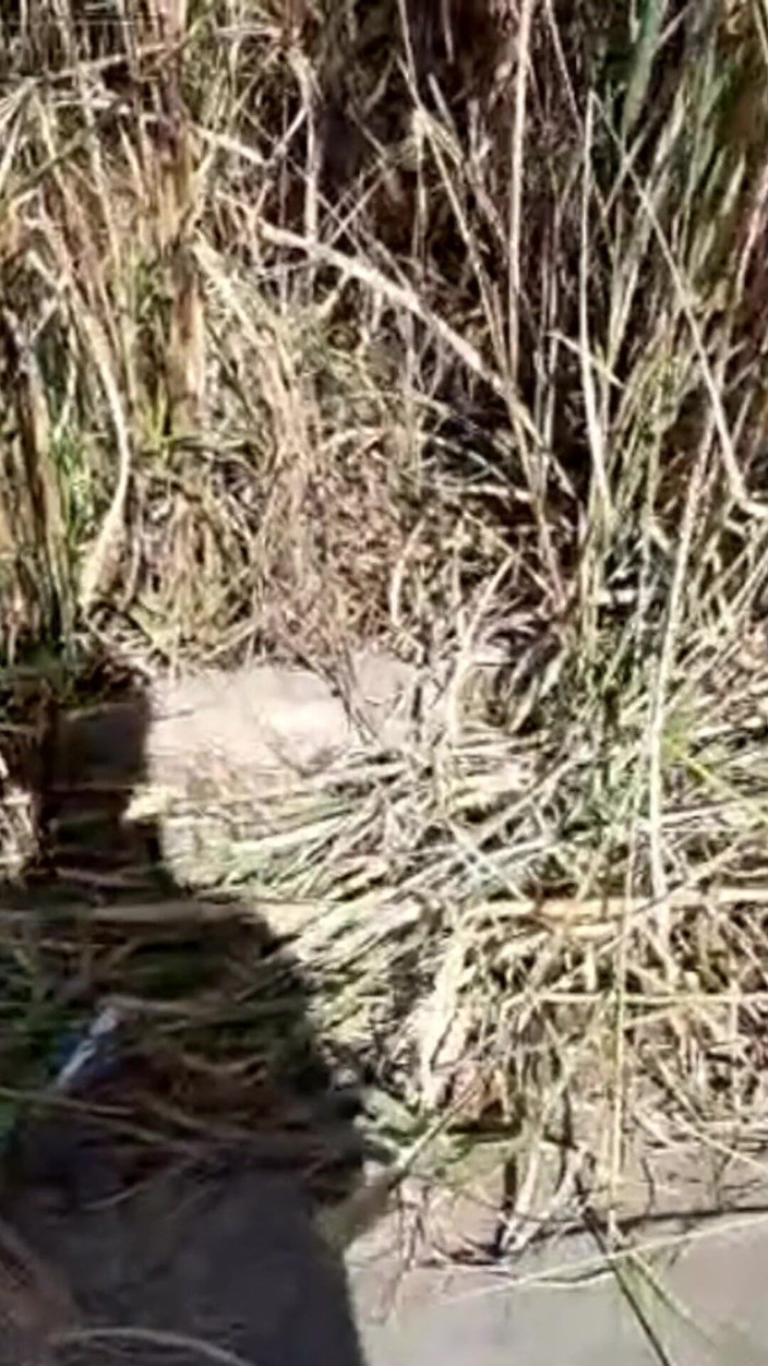 Prezottes_House: Zde najdete způsob, jak si udržet svou sexuální aundičku