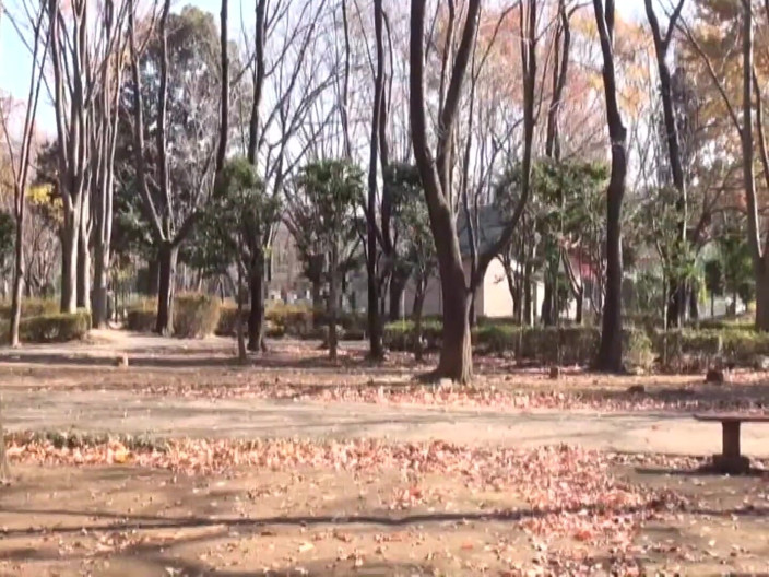 Vulture: The Old Lady at the Park Looked Bored, but It...