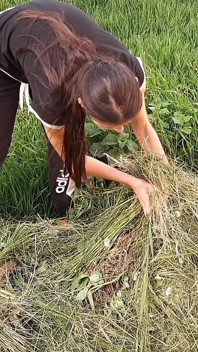 Я дрочив пизду свого сусіда в селі, і вона лизала її для мене - лесбіянка-ілюзія