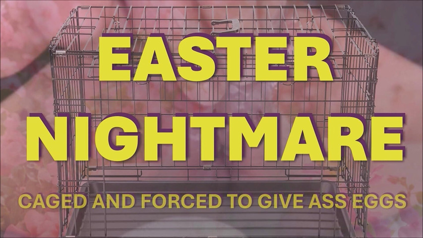 Easter Nightmare (Dom rod)