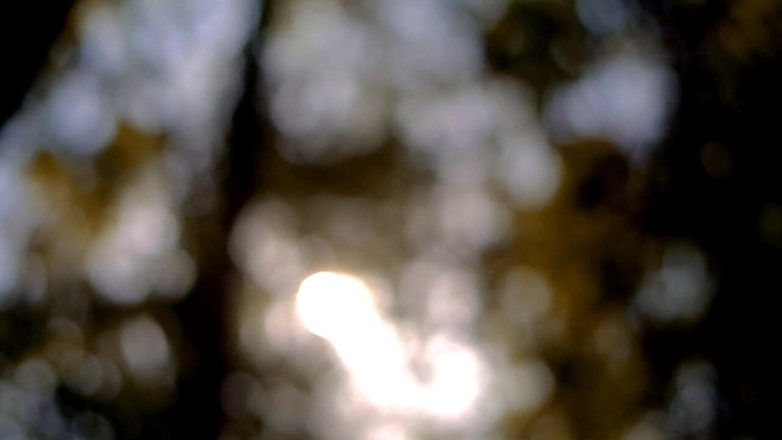 Laur Balaur Production: Laur Balaur nhảy lên để cưỡi mạnh bạo trên con cu...