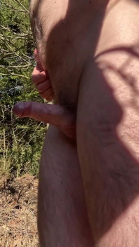 I Love Naked Walk in the Woods