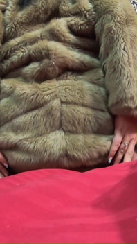 Do You Want to Play with This Fur-coat?