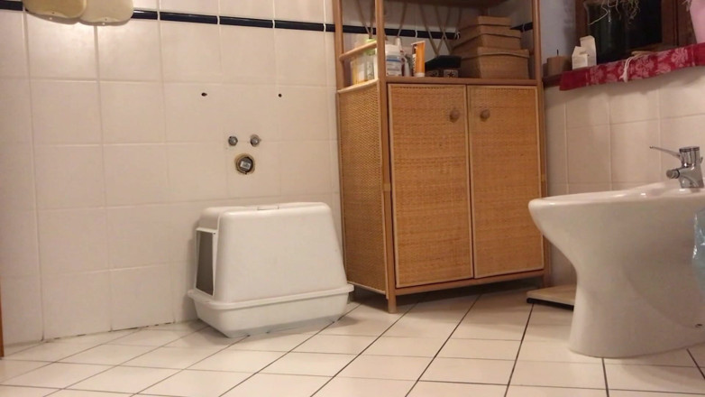 Rasseh: S he is making the cat toilet