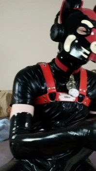 Hot Wax Dripping on This Needy Pup