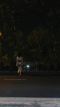 Sissytask Accomplished: Cross the Street with Dildo and Cage