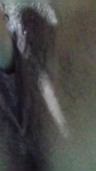 Amatör solo fingersättning