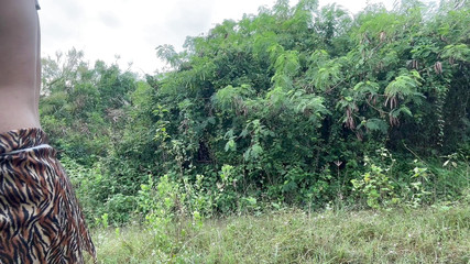 SinglePlayerBKK: Tarzan ha trovato l'uovo di tenga.