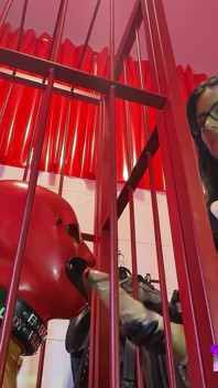 Training to Be a Cock Sucker