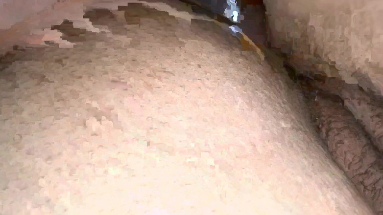 Robinroy: Моя невістка сказала, зять, трахни мою дупу.