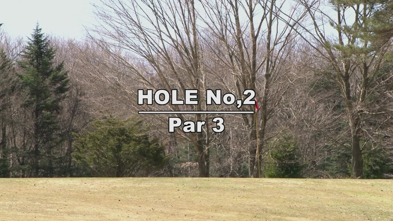 The Asian Sports: How to win the Golf game? Be a really good...