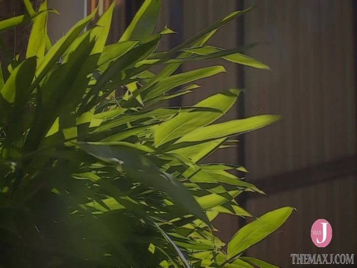 Celebrity Japan: La matrigna dice, "fa sesso con me prima di cena!" e...