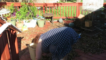BBW nurse Vicki adventures with friends: Playing in my garden showing off my tits belly ass,...