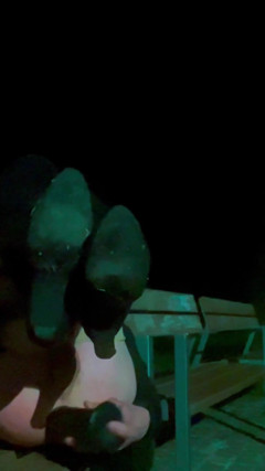 Femboy at Night in the Park thumbnail