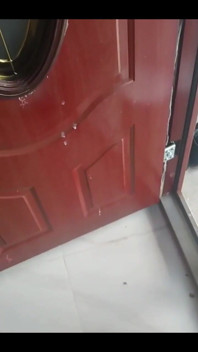 Haydenbbc Video