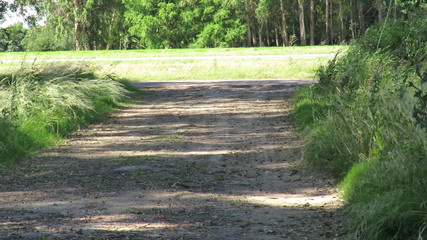 Milfcamsex: Patricia Walks...