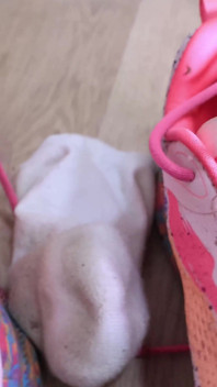 You're Leash Slave for MILF's Sneakers and Dirty Socks
