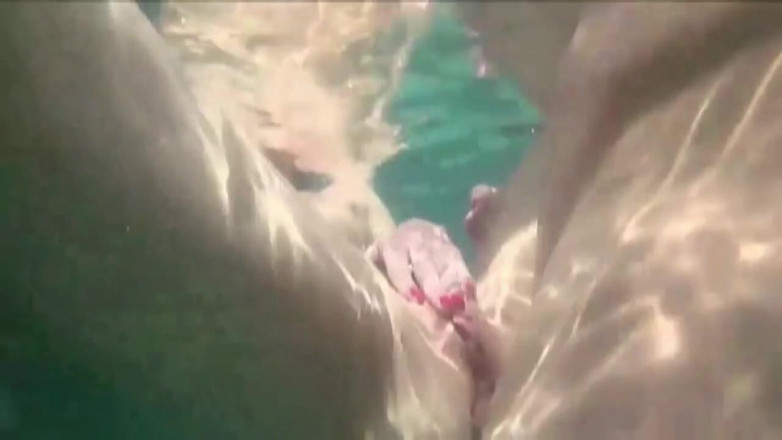 Lydia Privat: Scopata nel mezzo della piscina