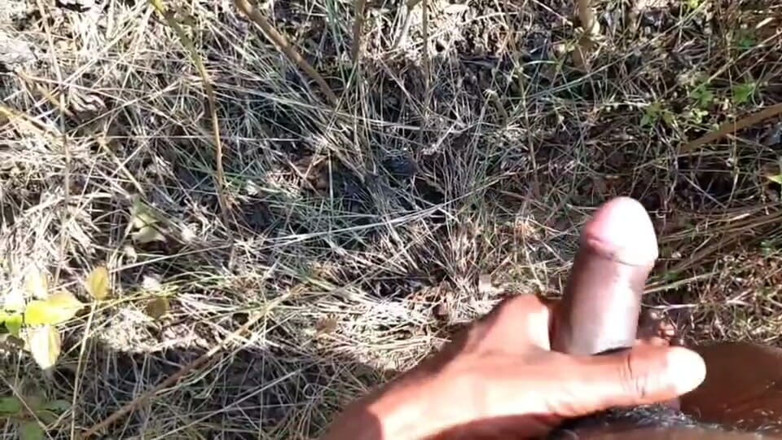 Desi Tits: Desi indická sexuální džungle šukání xxx video