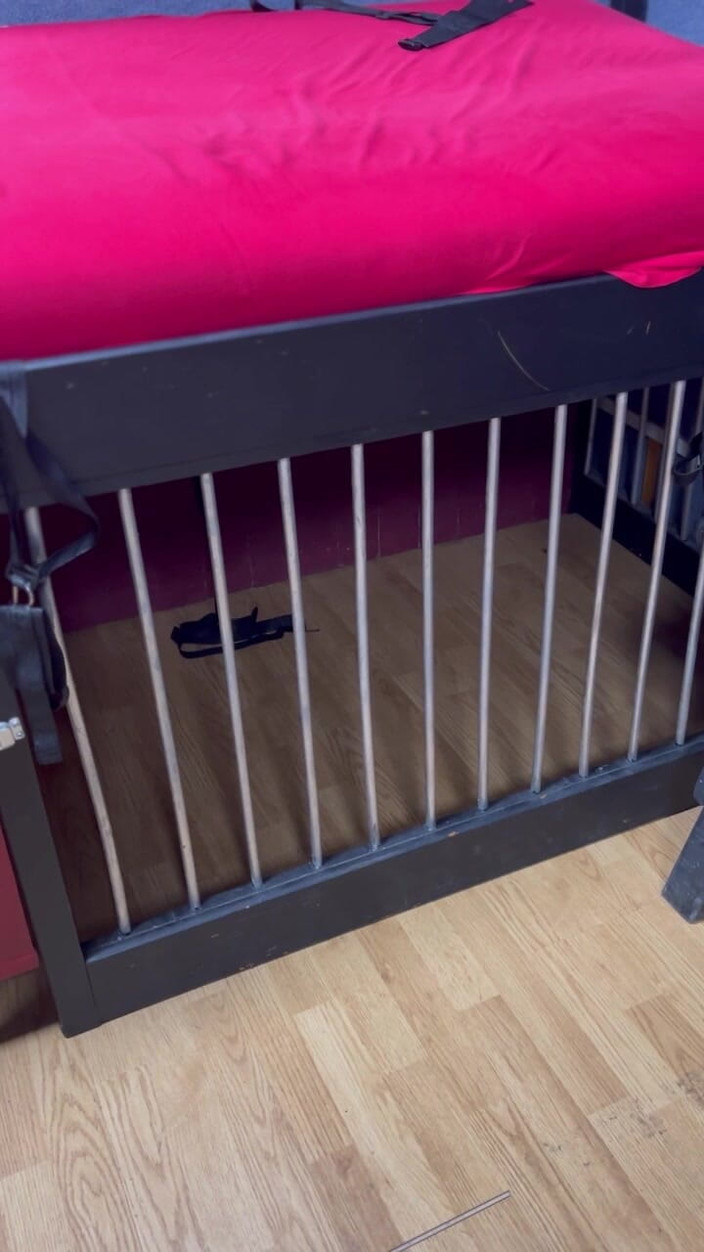 Maitresse Clara: Malam di bawah arahan saya