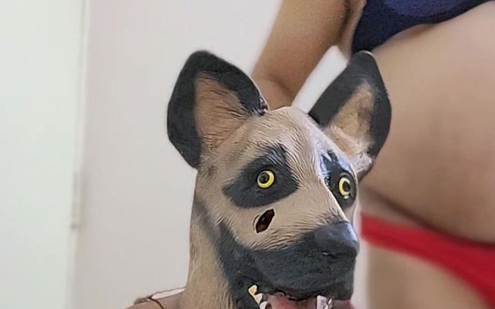 Indiansissychubby: Mi nueva mascota
