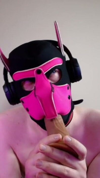 This Could Be Your Cock in Hound's Mouth
