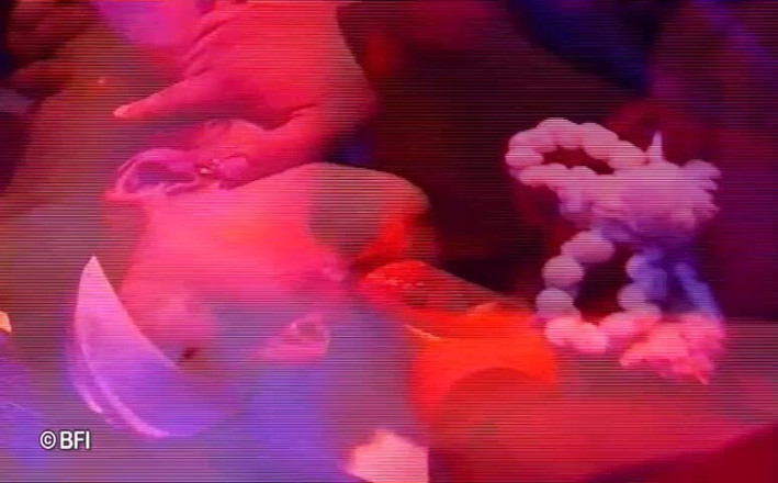 Amazing asses and pussies: Orgy ritual in church