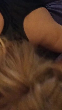 A pecorina martellante per troia di sborra per capelli neri