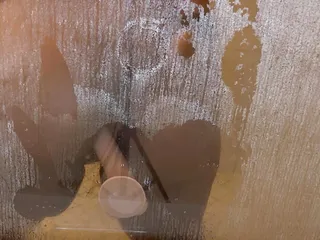 Shower View