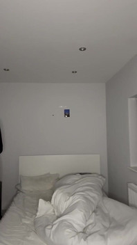 Cock and Ass