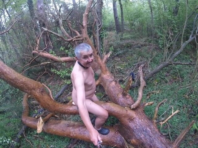 Andy: Věci, které najdete 3