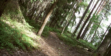 Radical: Courir dans la nature se réchauffe pour une baise torride