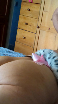 Palmada na Gatinha