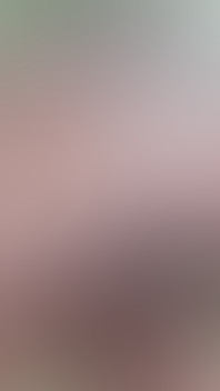 Strangers in the Forest