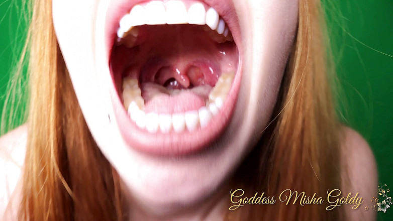 Goddess Misha Goldy: Vonis Dilalui Wali Kota! Semua Non-pajak Akan Segera Ditelan!