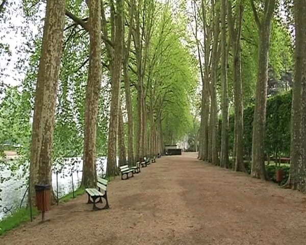 Planete Francaise: sunahre baalon vaali phrench chodne laayak mammi kee land choosne...
