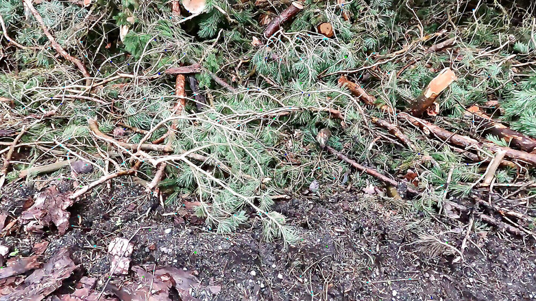 Bouncy Tits Action: Cewek toket merah di luar ruangan